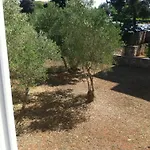 Hotel Lovorka - Drazica Krk Town