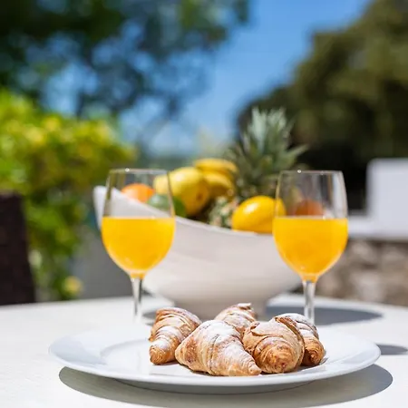 Lovorka - Drazica 3*